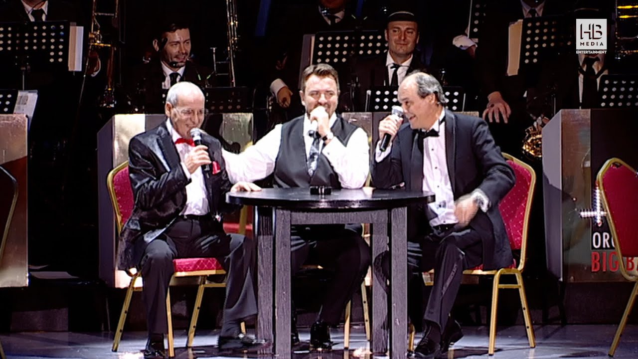 VAGABONDUL VIETII MELE - HORIA BRENCIU, NELU PLOIESTEANU, GEORGE ALEXANDRU, RAZVAN SIMION, DANI OTIL