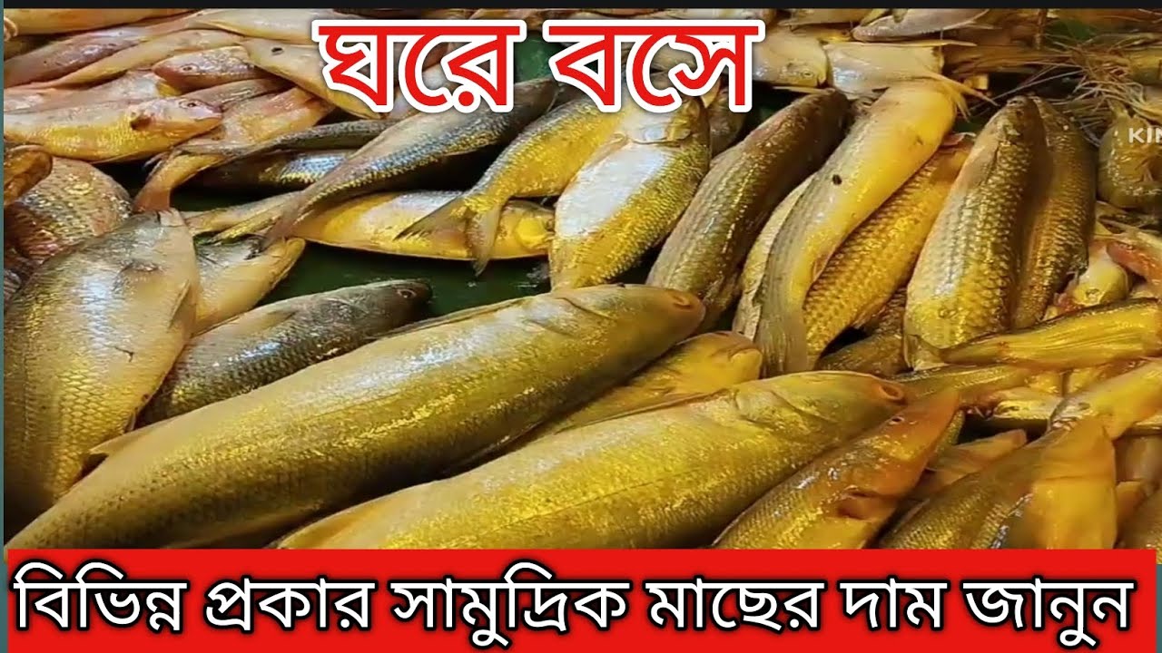 বিভিন্ন প্রকার সামুদ্রিক মাছের দাম জানুন/Bichitra Tv 20