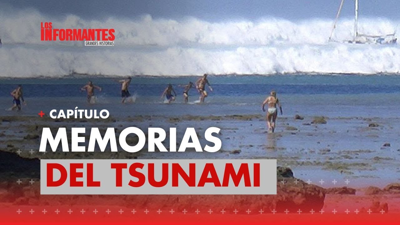 Así sobrevivieron dos colombianos a uno de los tsunamis más potentes del mundo | Los Informantes