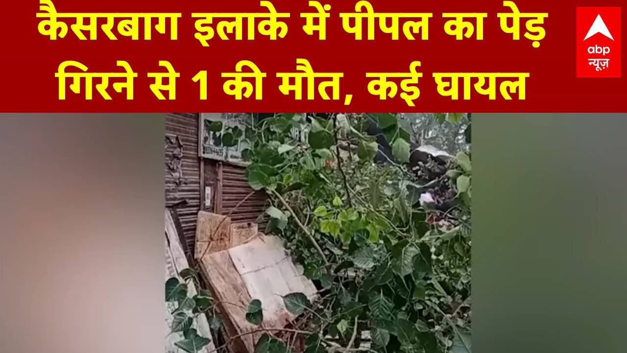 Lucknow Tree Fall: कैसरबाग में विशाल पेड़ गिरा, एक की मौत, Deputy CM पहुंचे