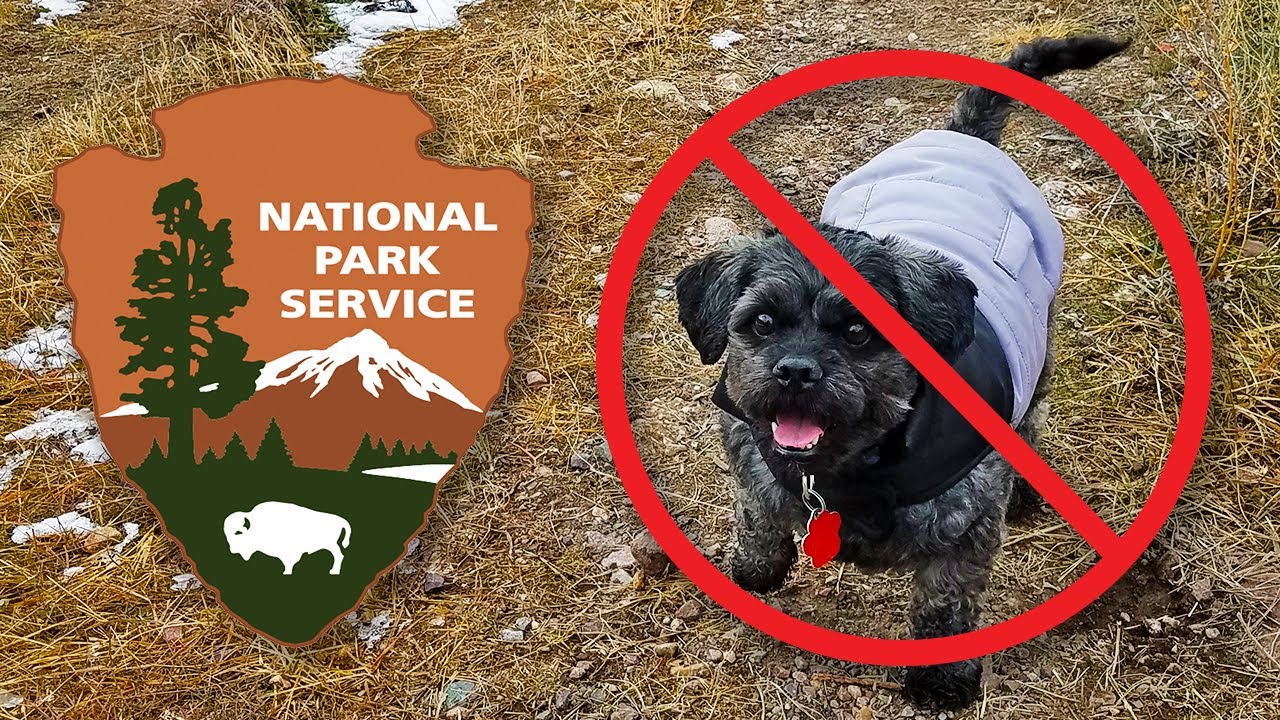 Why Aren't Dogs (and Other Pets) Allowed in National Parks?