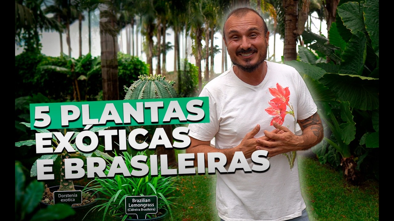 5 Plantas Exóticas Que Estão Conquistando o Brasil e precisa conhecer