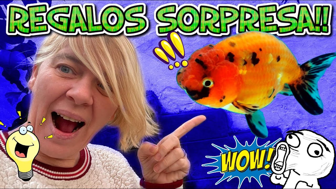 VISITA y regalos sorpresa !!!!