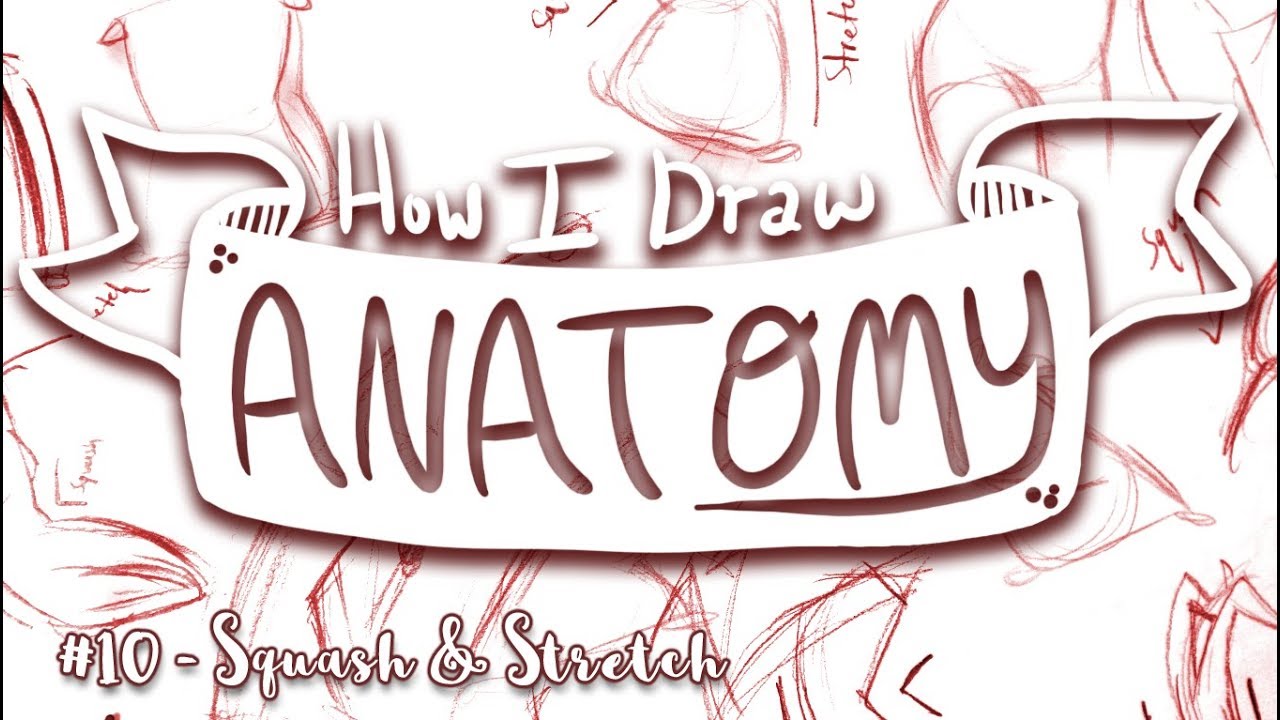 How I Draw ANATOMY #10 - Squash & Stretch - MissKerrieJ -