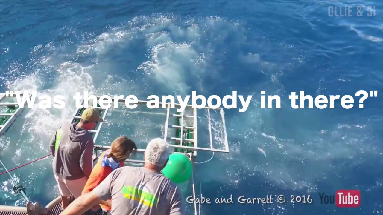 Great White Shark Accident! The Review...
