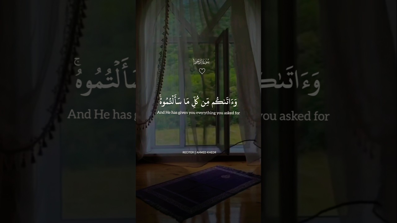 Ahmed Khedr | Beautiful quran recitation 2024 #quran #quranrecitation