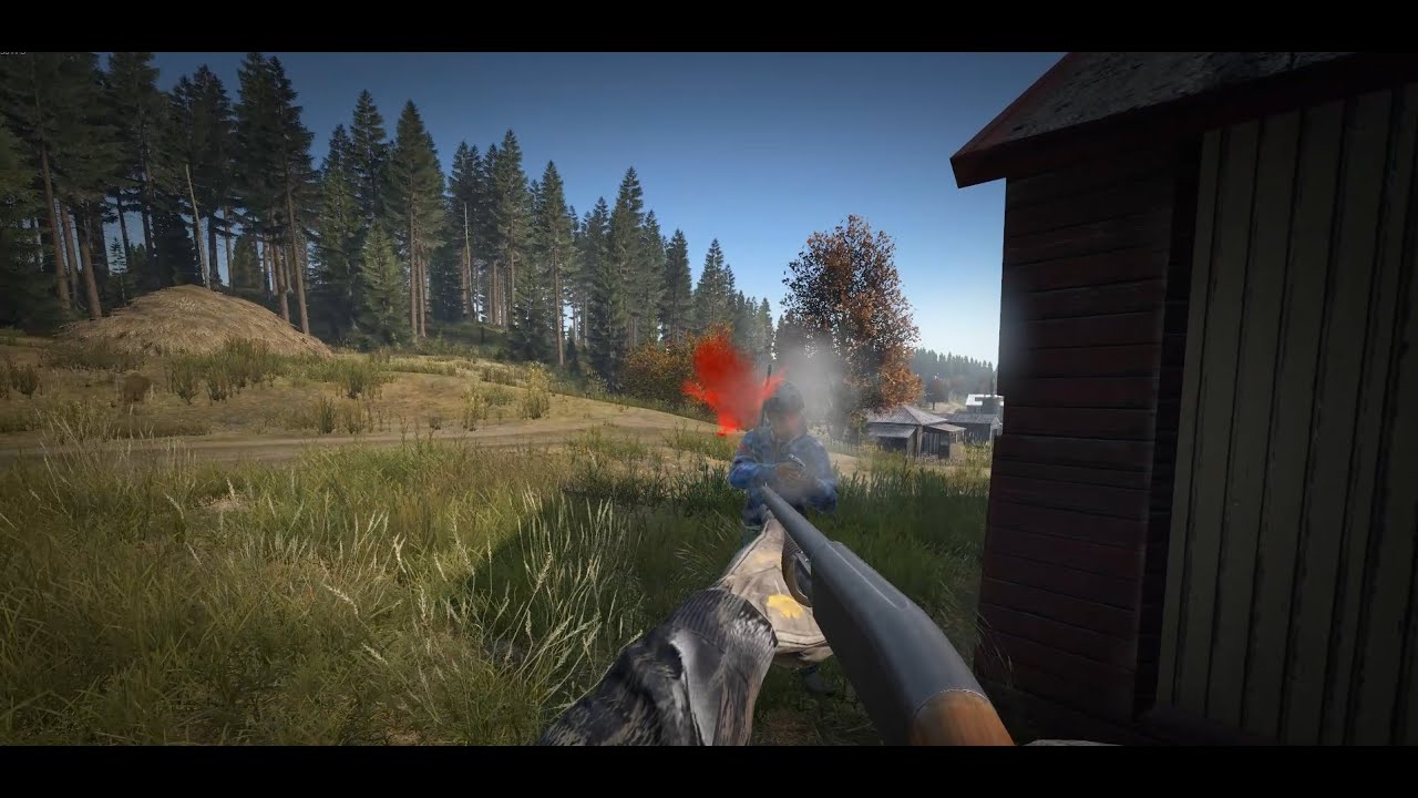 dayz montage pVp  65 server oficial