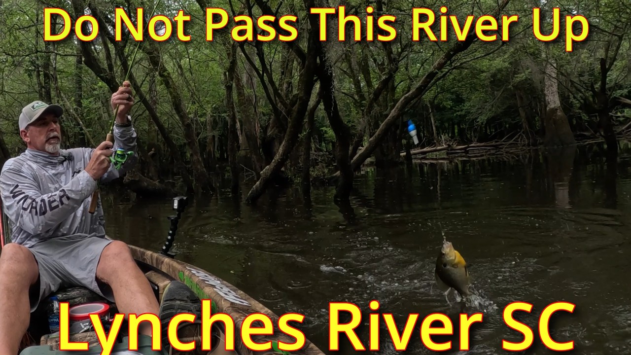 Catch-Clean-Cook GIANT Bream & Shellcrackers! (South Carolina River Feast