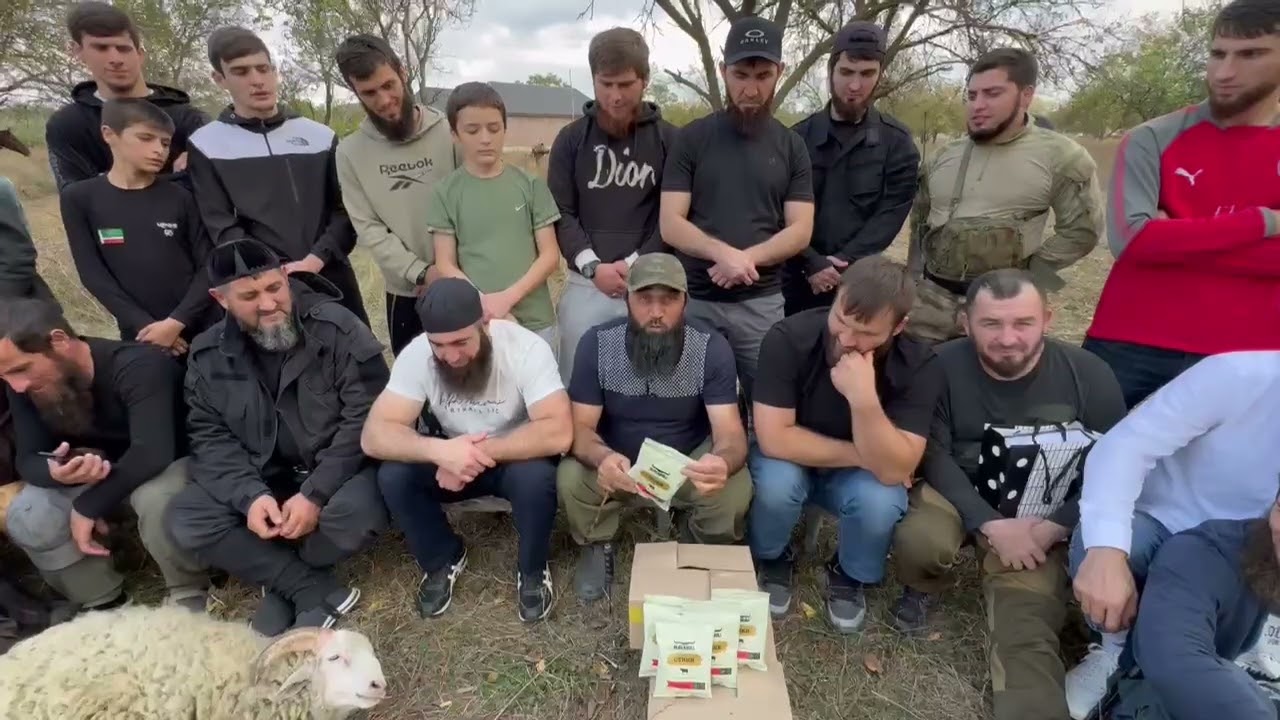 Подарки и награждения