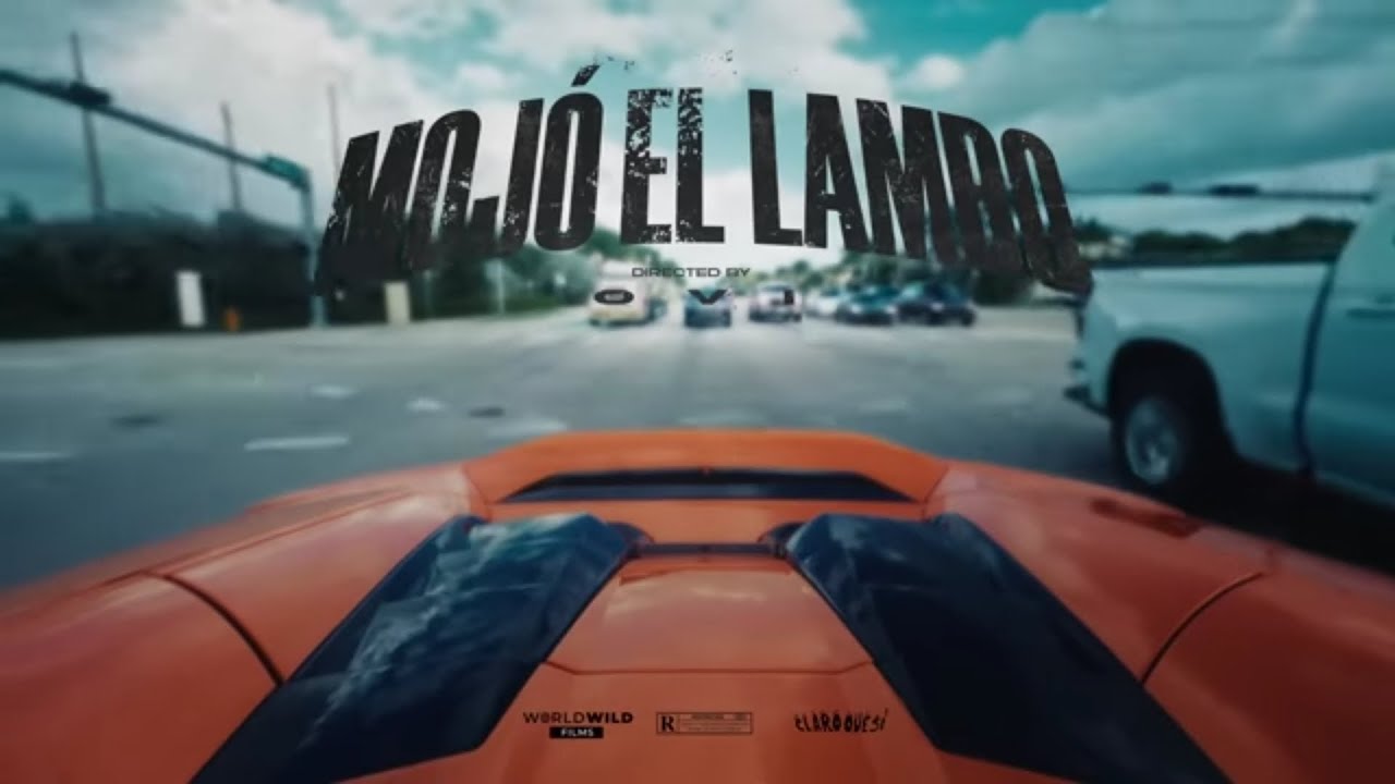 REACCIÓN A “Mojó el Lambo - OVI”