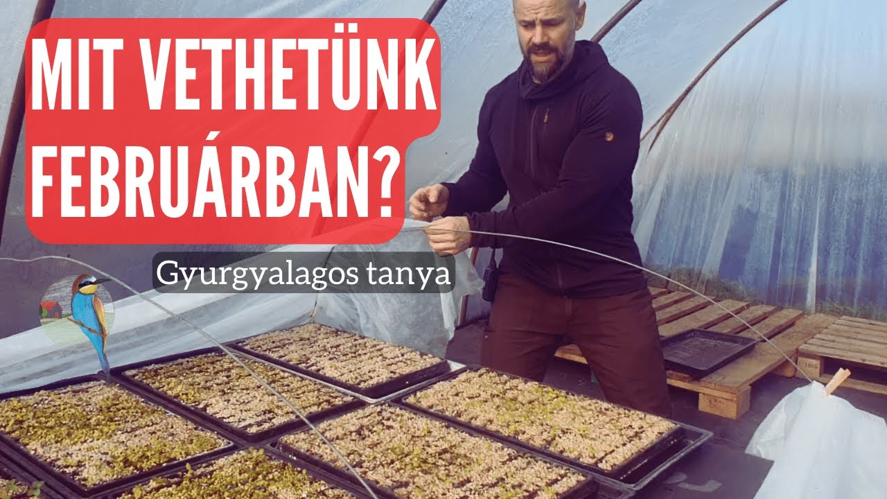 Mit vethetünk februárban?