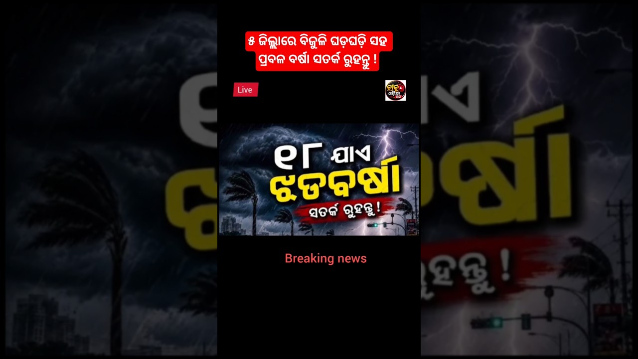 today cyclone news odisha/today news odisha/rain news/odisha news/odisha rain news/breaking news