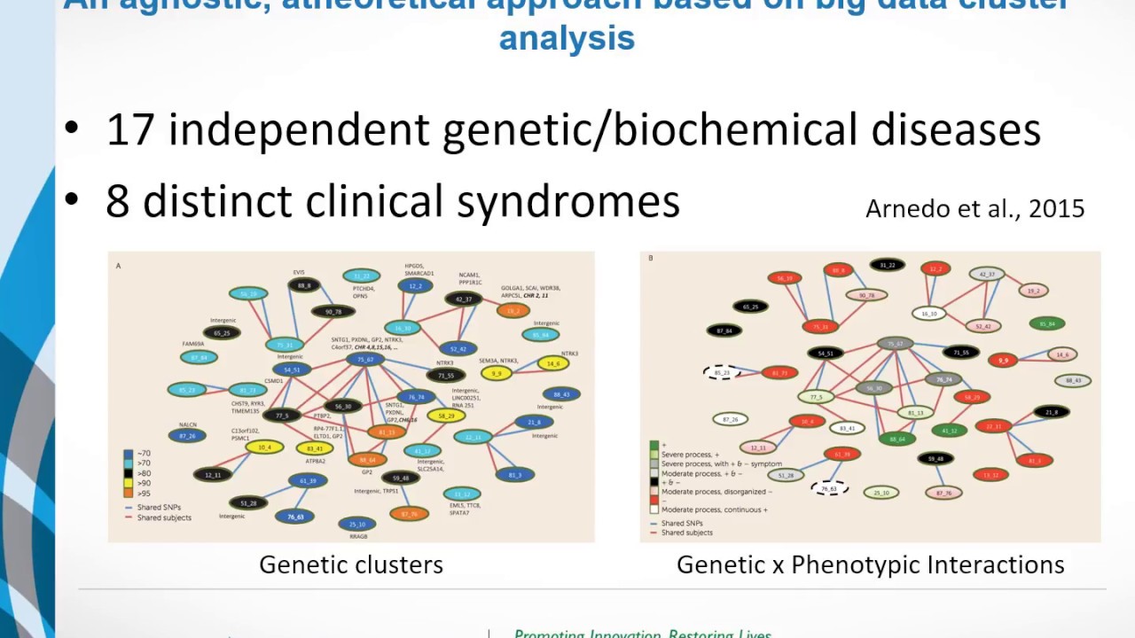 Subtypes of schizophrenia: different diseases within the same diagnosis
