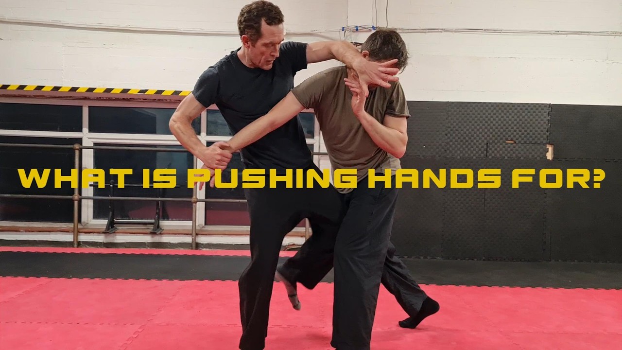What is Pushing Hands for?