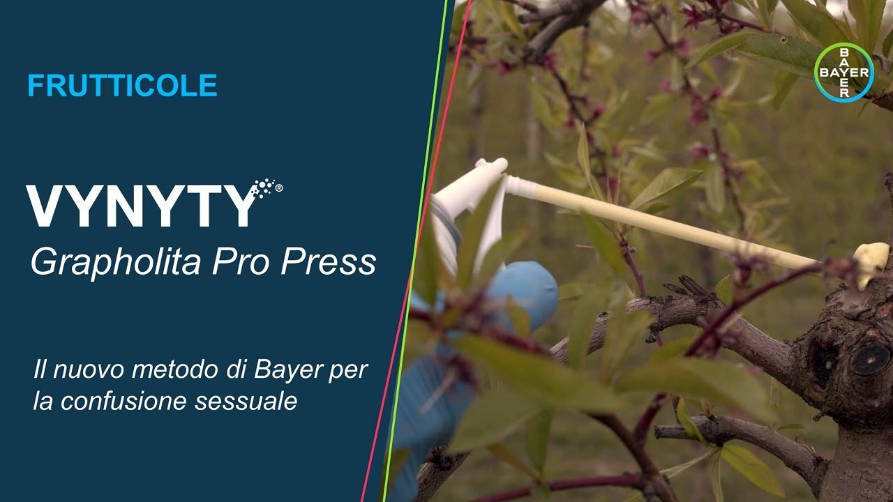 Vynyty Grapholita Pro Press: la novità 2024 di Bayer per la confusione sessuale in frutteto
