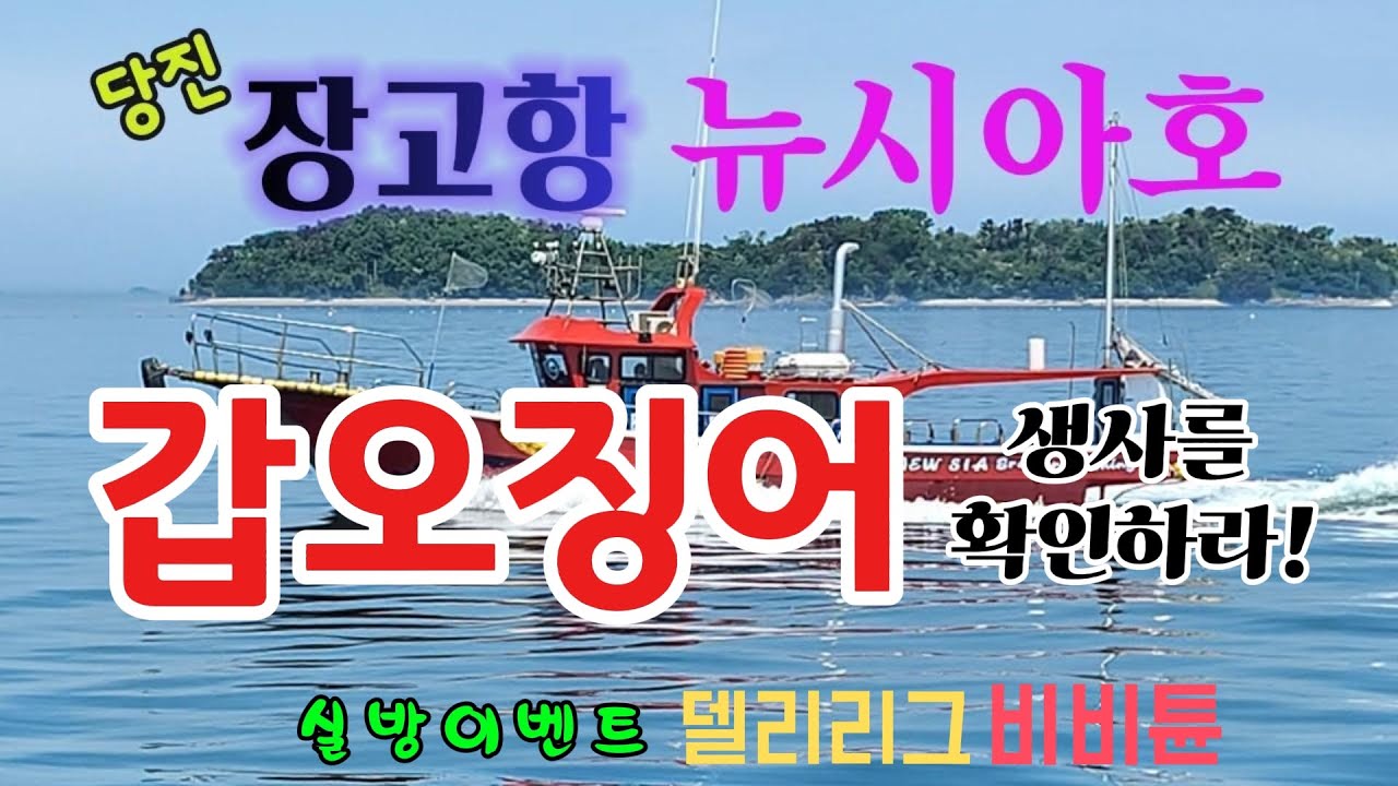 당진권 갑오징어낚시 실시간  #뉴시아호 #팀훅밴드  #당진 #쭈꾸미낚시 #갑오징어낚시  #델리리그비비튠