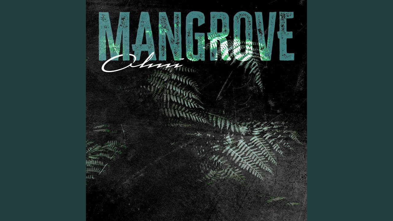 Mangrove