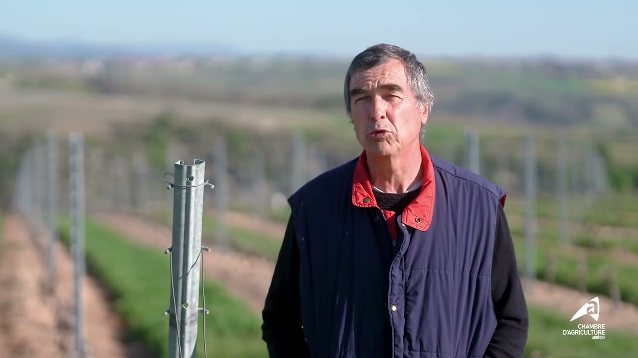 🌱 Le groupe DEPHY Viticulture - Vallée du Rhône Nord 🌱