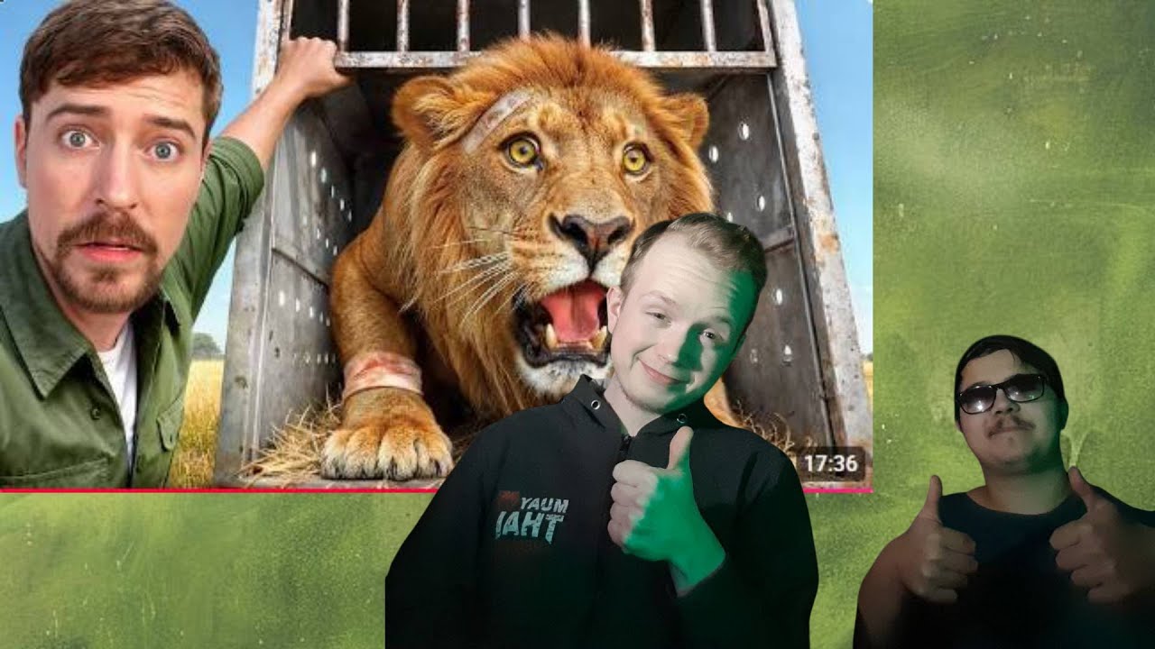 Грин Даст и Кейс смотрят: MrBeast - Я Спас 1000 Животных От Гибели