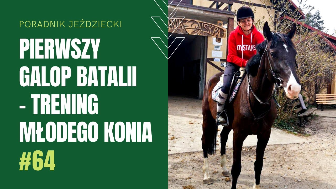 PIERWSZY GALOP BATALII - praca z młodym koniem | Poradnik jeździecki #64