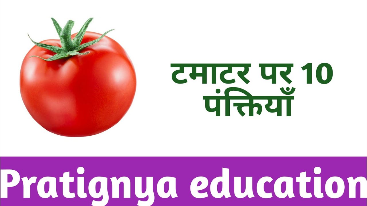 10 Lines Essay On Tomato In Hindi || Essay On Tomato