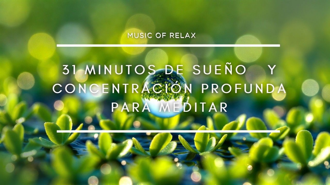 Música para programar y crear: Sonidos que bloquean el mundo | Music of Relax | 31 Minutos