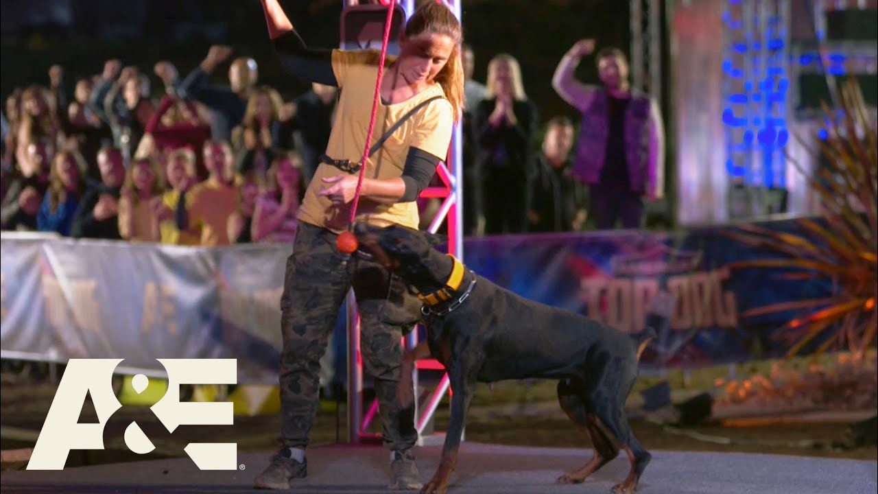 Doberman Rogue Competes 3 Months After Having Puppies | America's Top Dog (Season 1) | A&E