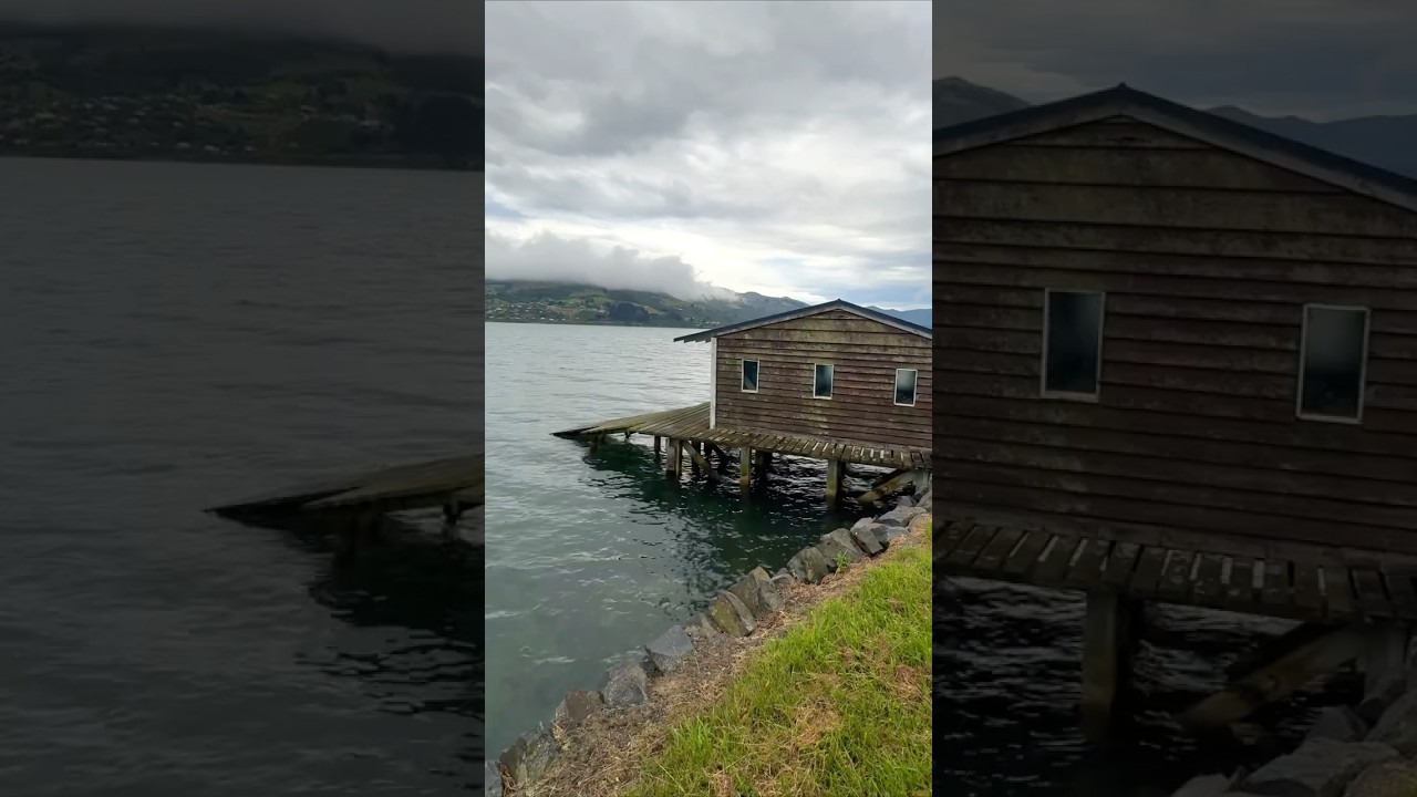 The quiet beauty of Dunedin, New Zealand  