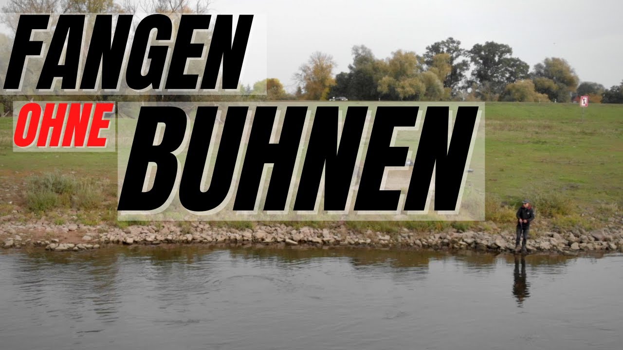 Flusszander auch ohne Buhnen fangen!