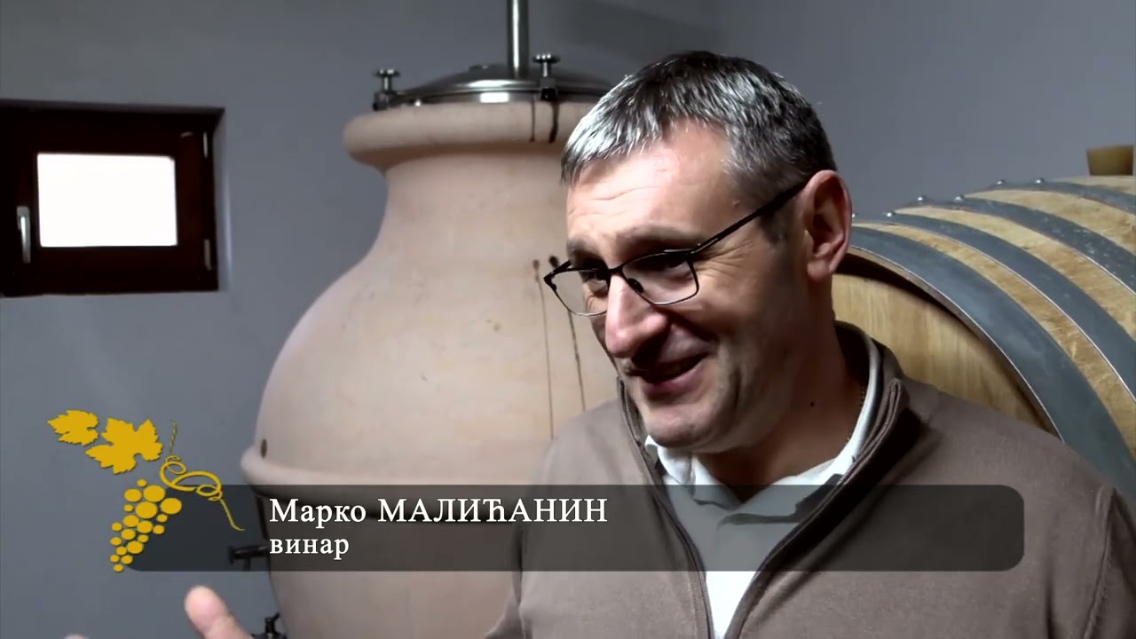 Grozd: Sveti Trifun