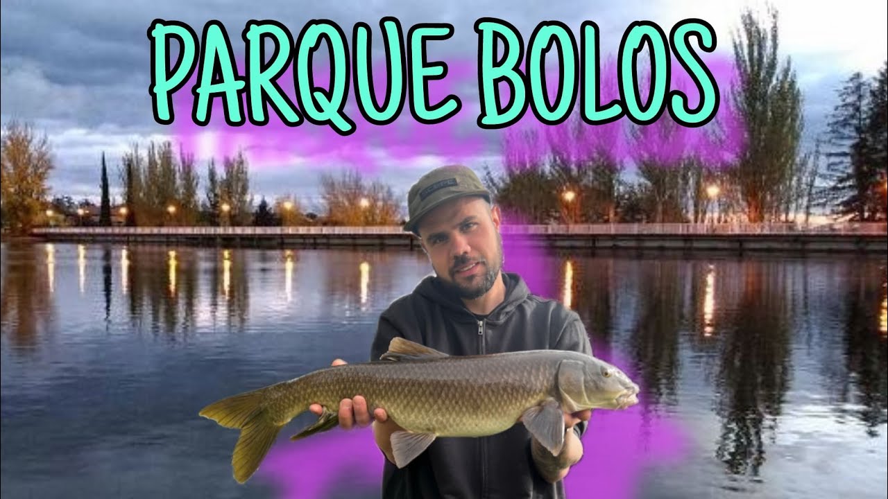 SESIÓN EN PARQUE BOLOS | CARPAS Y BARBOS | CARPFISHING | 2024