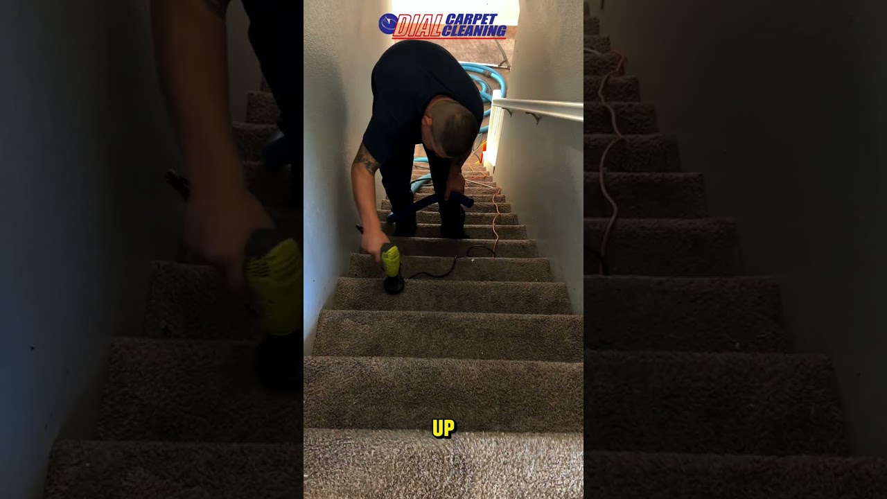 Carpet shampooing dirty Vegas rental