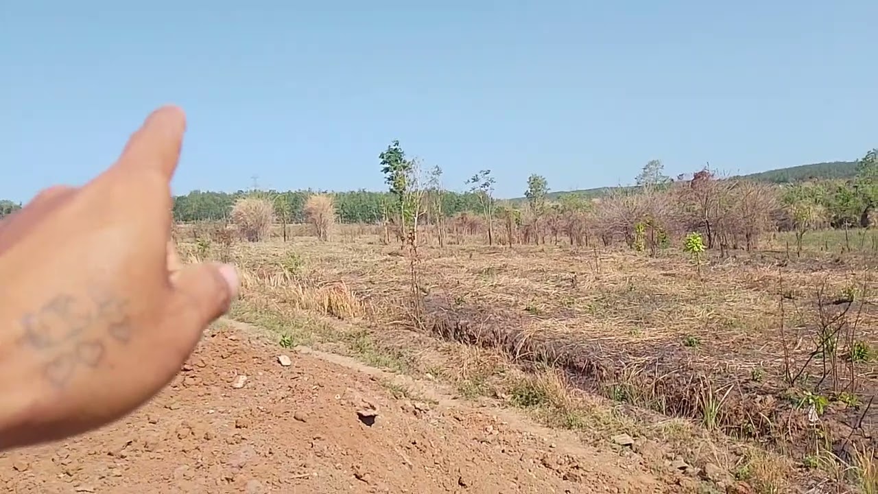 Bán đất rẫy giá lai .