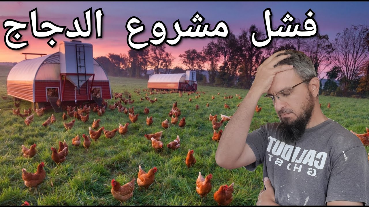 أسباب فشل مشروع تربية الدجاج ، مشكلة كبيرة مع معزتي جميلة،  تركيب مبردة للماعز (199)