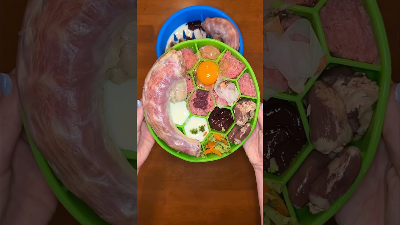 Come feed my raw fed dogs dinner 🍳🦴🥩 