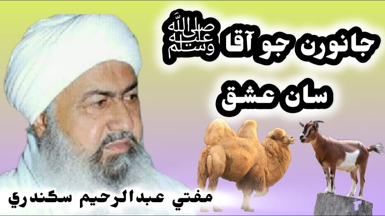 جانورن جو آقا ﷺ سان عشق /janwrn Jo aqa s w  San ashiq /مفتي عبدالرحيم سڪندري صاحب عارف نور خليلي 