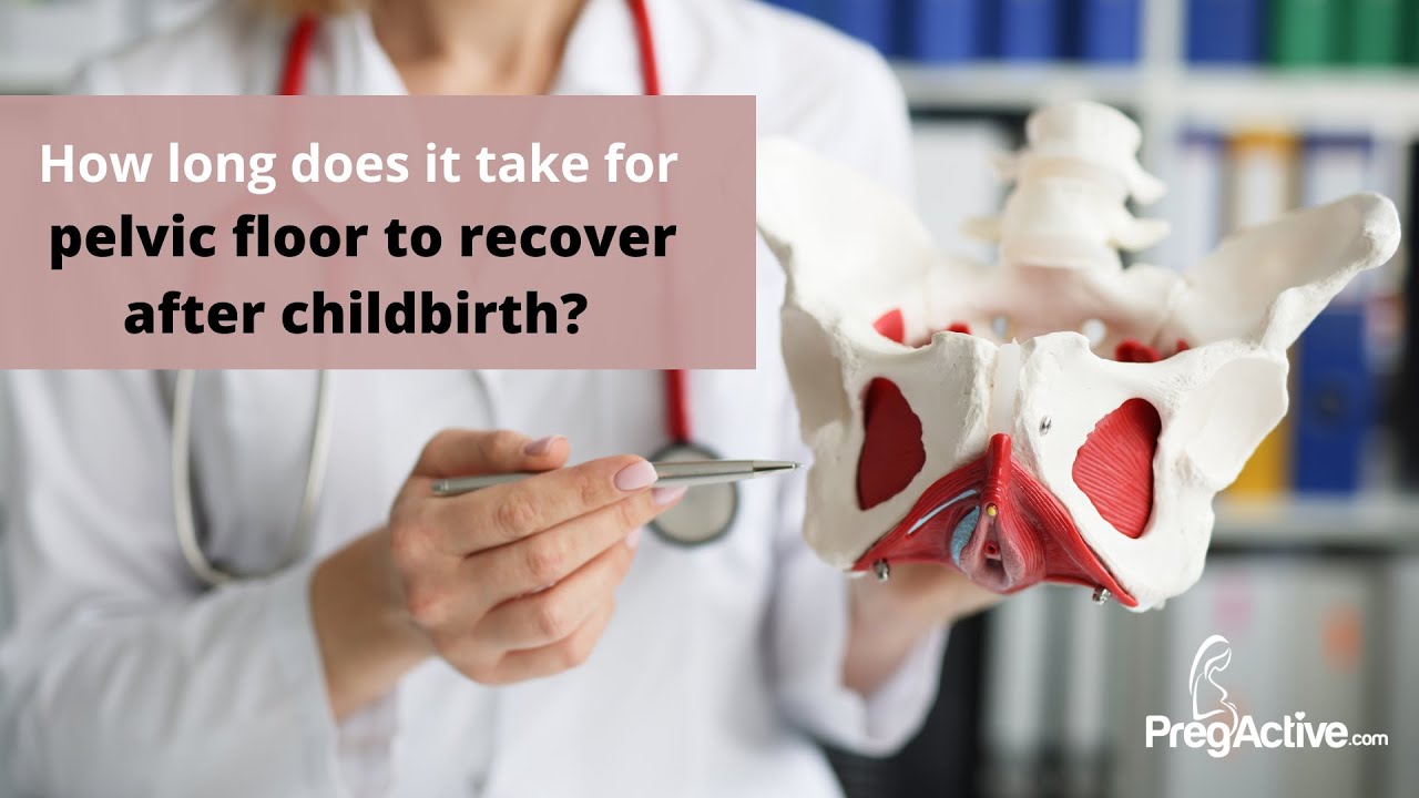 Pelvic Floor Healing After Baby: Tips for New Moms!