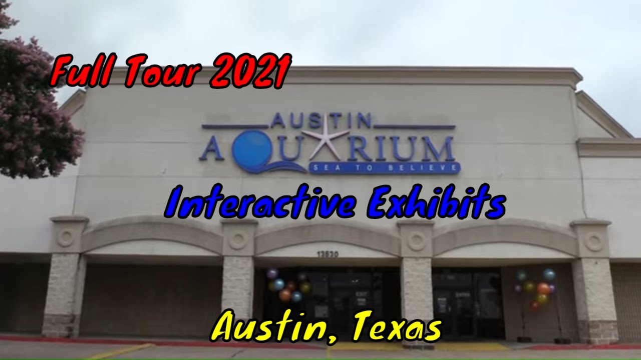 Austin Aquarium Full Tour - Austin, Texas
