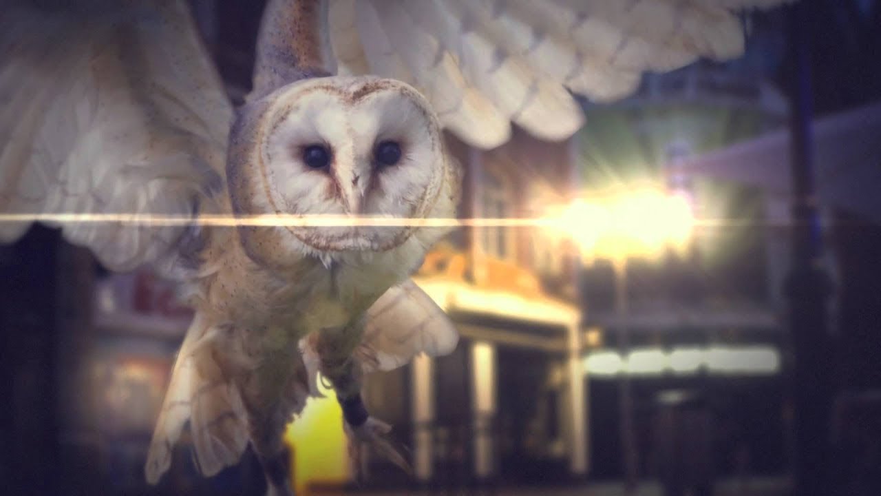S.P.Y - Cold Harsh Air (feat. Total Science & Grimm) (OFFICIAL MUSIC VIDEO)