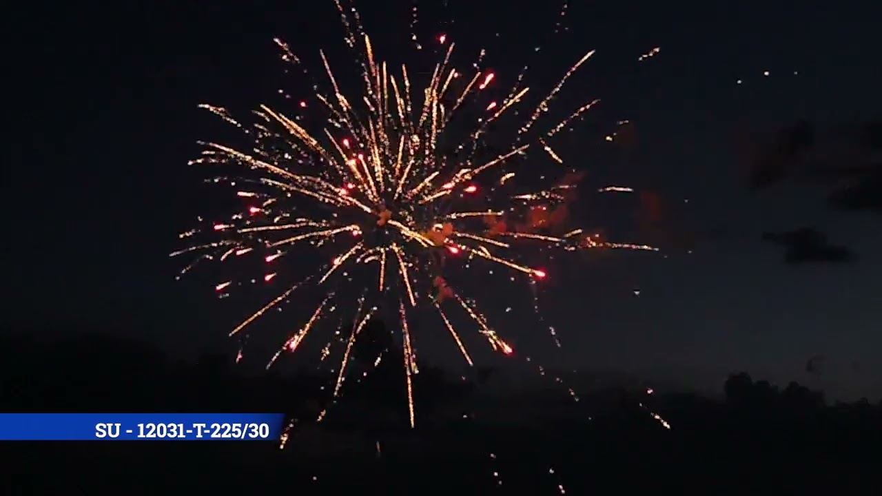 Focuri de artificii, SU-T031, 2024, SALIUT.MD