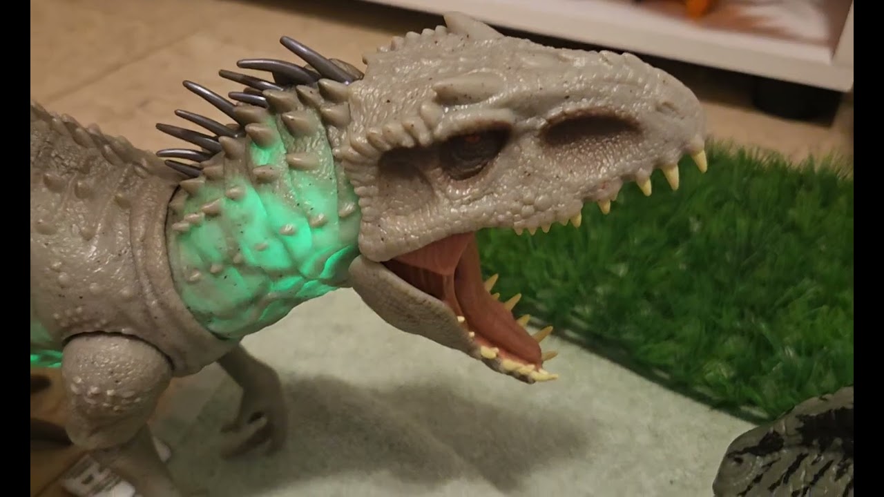 Darcy(indo)vs zebra (giga )