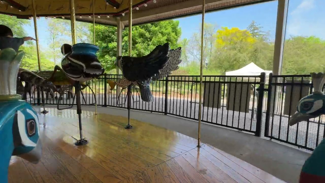 POV ride on the  Detroit Zoo Carousel