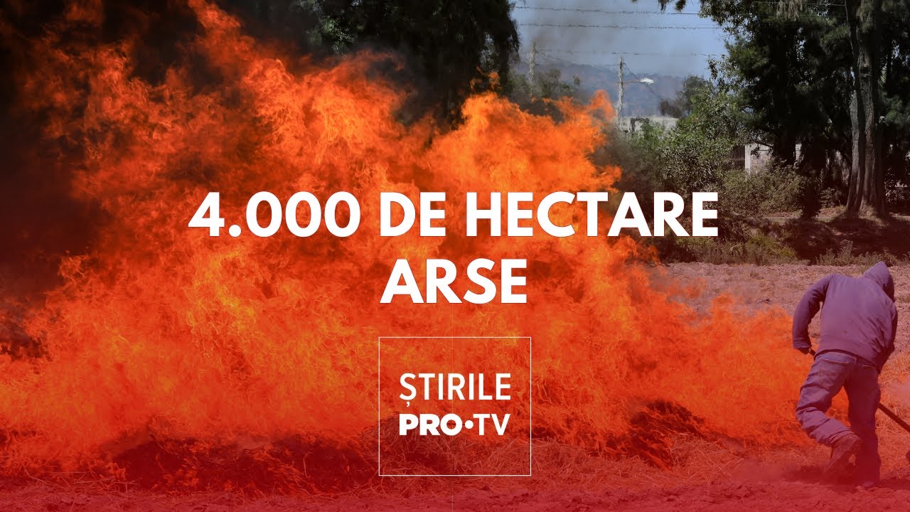 Peste 4.000 hectare de vegetație au ars într-o singură zi