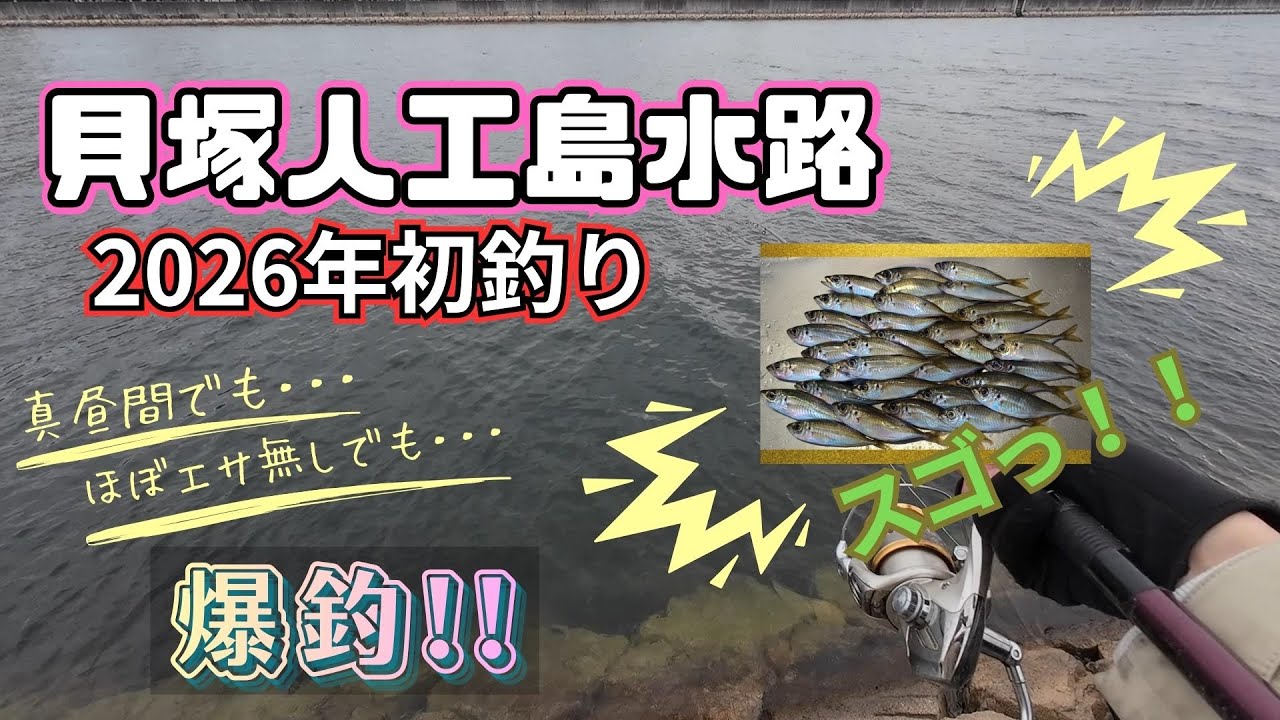貝塚人工島水路で真昼間にアジ爆釣（2026年初釣り）