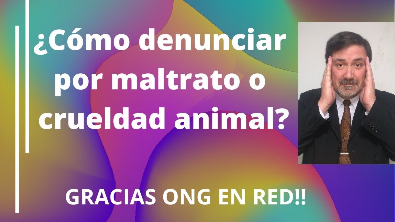 COMO DENUNCIAR DELITOS CONTRA ANIMALES? 😿 (Para animalistas y vecinos preocupados y ocupados)