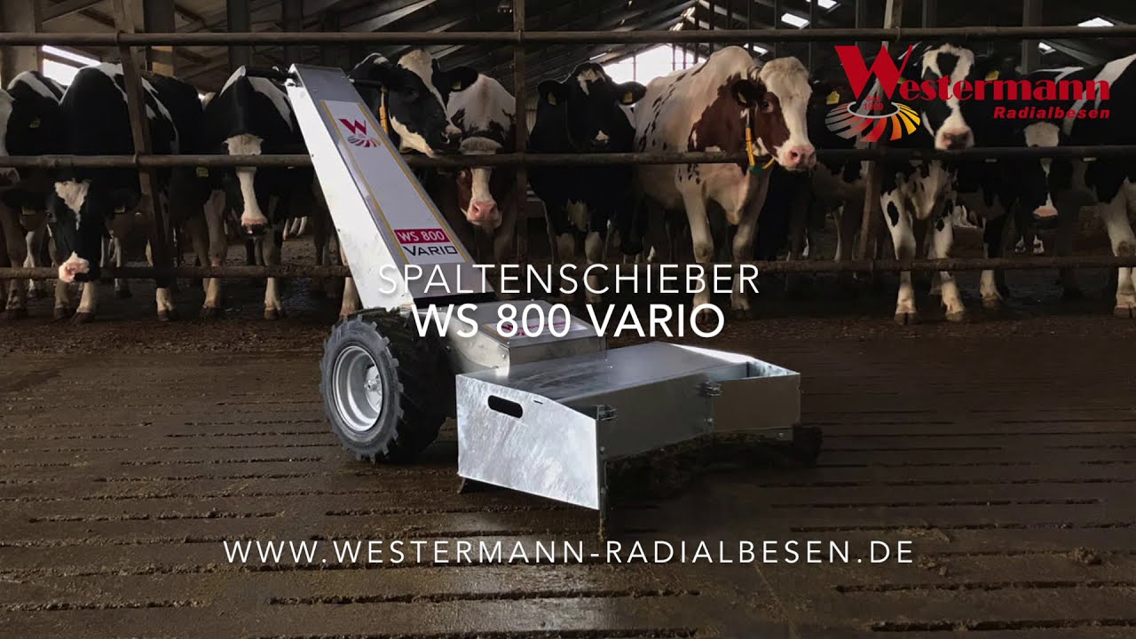 Moderne Kuhstallreinigung mit dem Spaltenschieber WS 800 Vario von Westermann