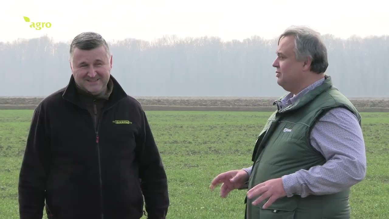 Kako do dobrog uroda kokičara?