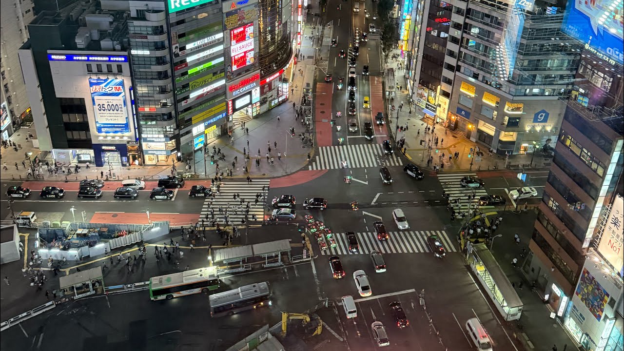 My Japanese Adventure Part 1- Tokyo, Shibuya, Senso-ji, Skytree and more