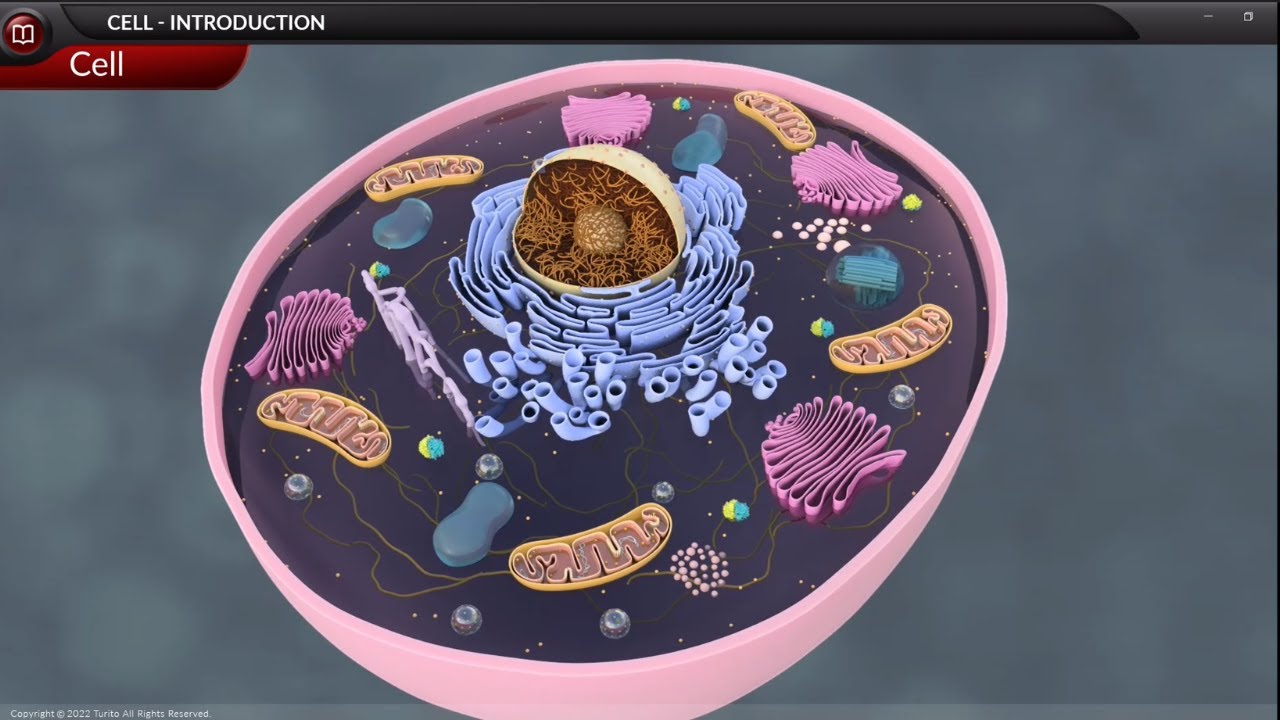Biology - Grade 9 - Cell Structure and Function - Cell-Introduction