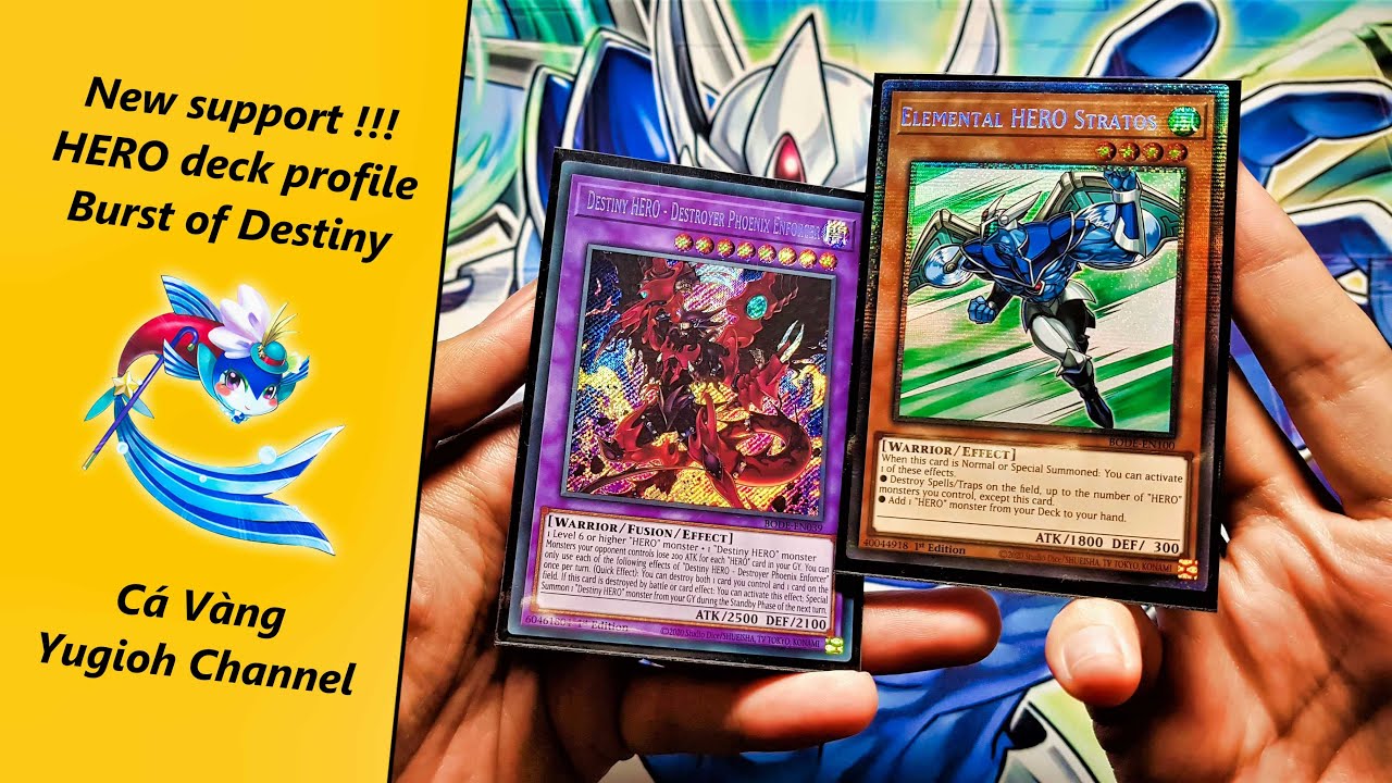 COMBO UPDATE & DECK PROFILE「HERO」 Cá Vàng Yugioh Channel